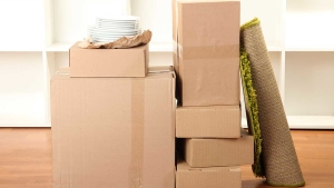 How to cope with moving house